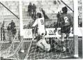 szabó3.jpg